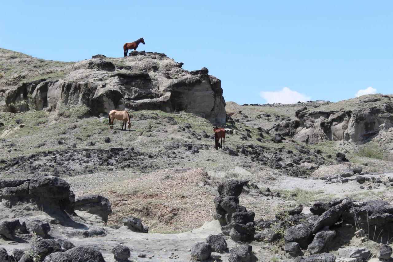 Pachingo Tatacoa Desert La Victoria  Eksteriør bilde