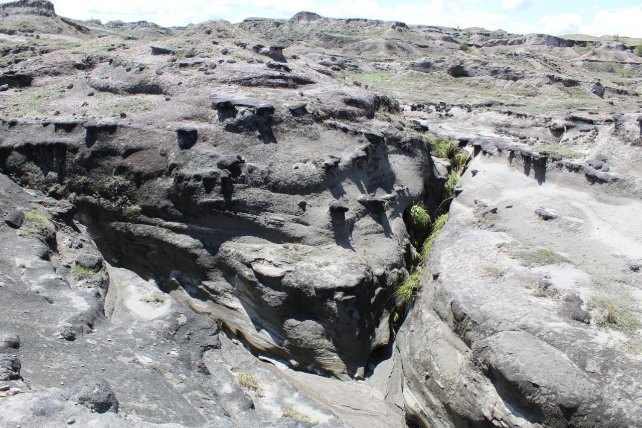 Pachingo Tatacoa Desert La Victoria  Eksteriør bilde